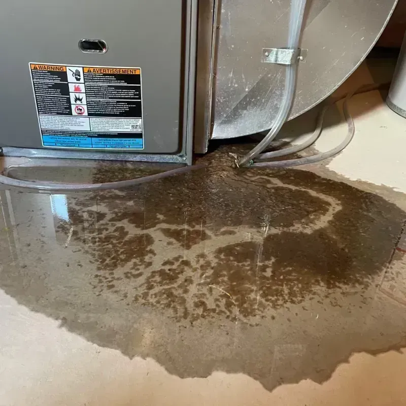 Appliance Leak Cleanup in DeSoto County, FL